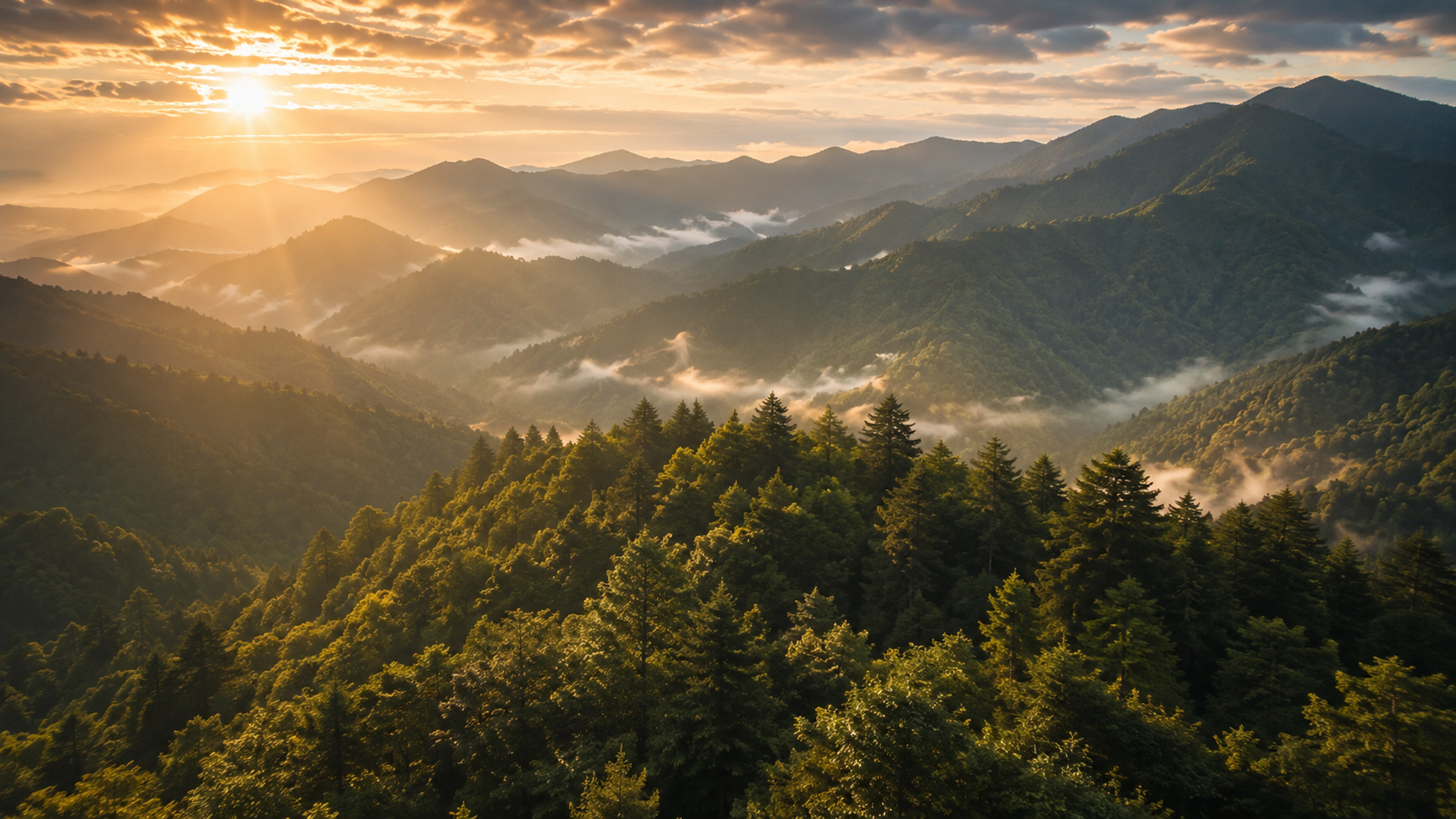 Lush forested mountain range in golden light